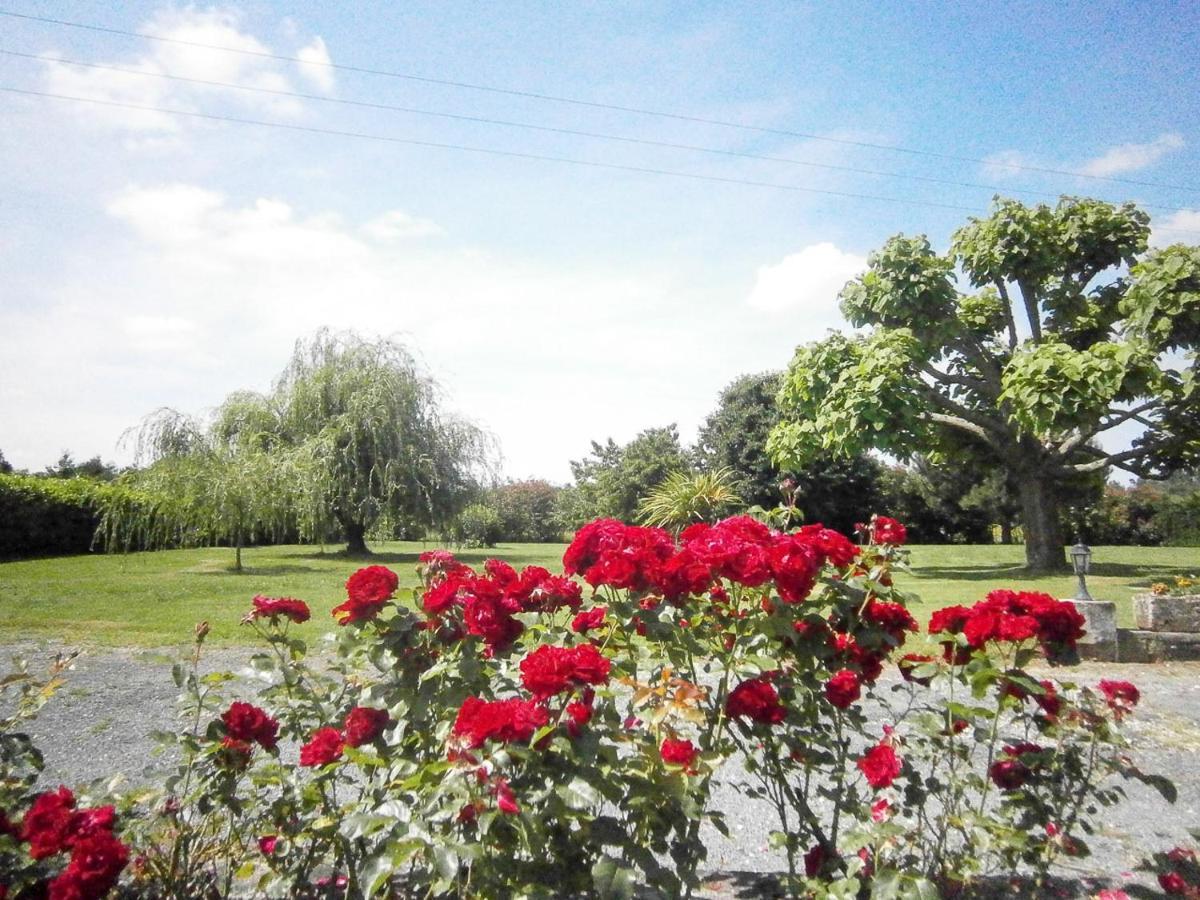 Le Charhido Bed and Breakfast Saint-Fort-sur-Gironde Exterior foto